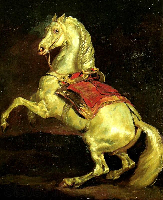 Theodore   Gericault cheval cabre, dit tamerlan Norge oil painting art